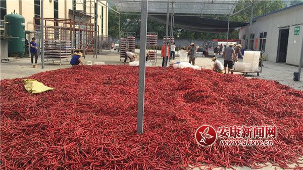 ttĮa(chn)I(y).jpg