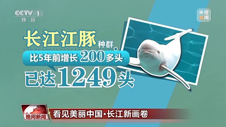 Snipaste_2025-08-15_15-09-50.png