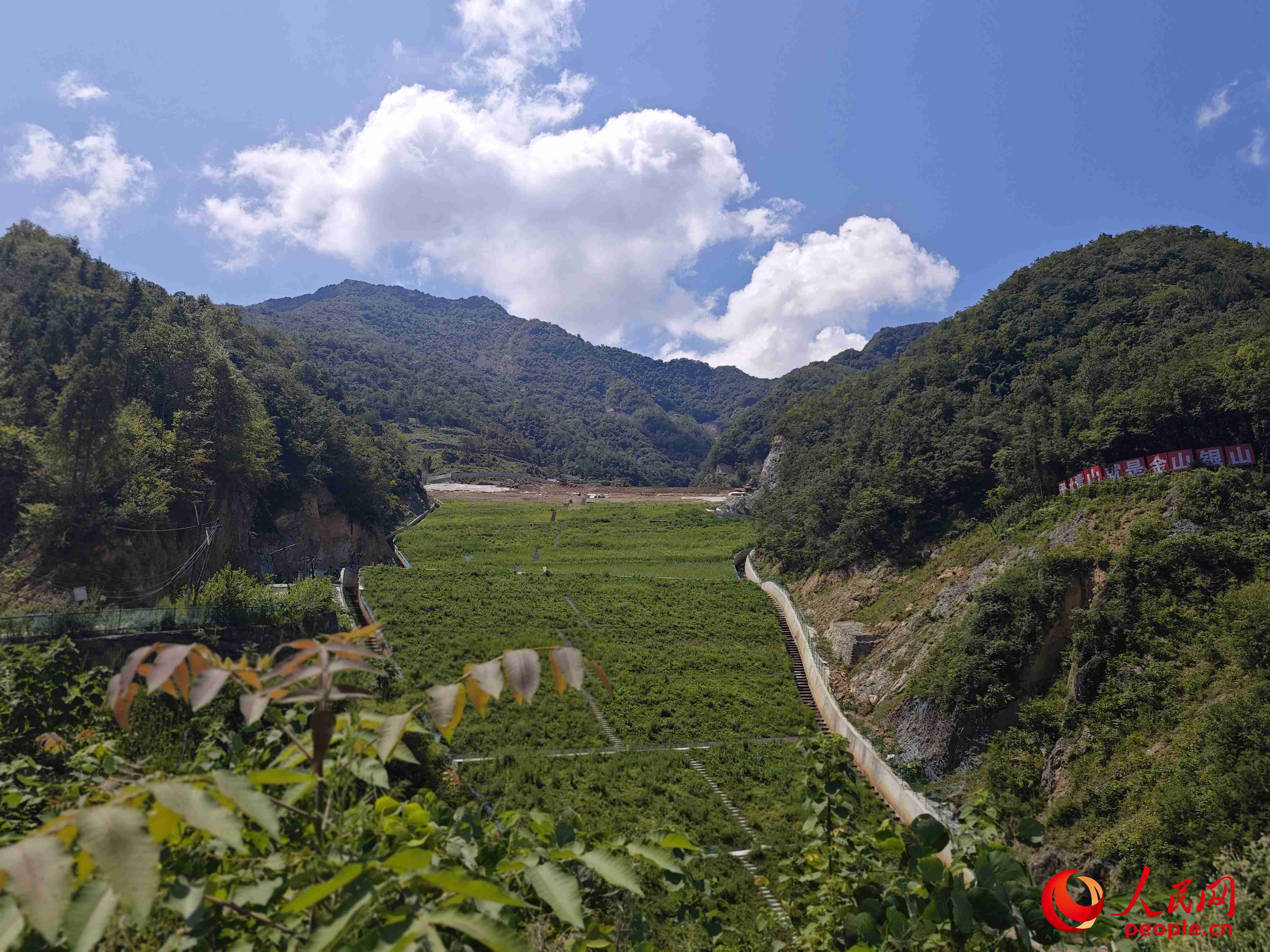 已部分復(fù)綠的貯存場。人民網(wǎng)記者 黃鈺攝